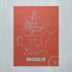 Brooklyn Bike Screen Print // Coral + Light Blue