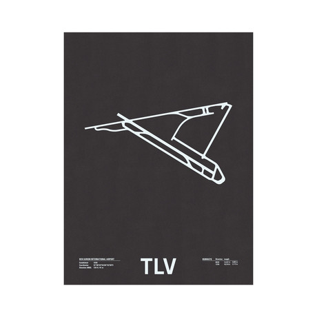 TLV // Ben Gurion International Airport Screenprint