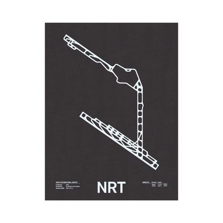 NRT // Narita International Screenprint