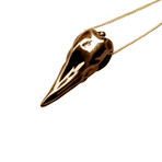 Raven Skull Necklace (Silver)