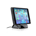 iPort Charge Case & Stand // iPad Mini