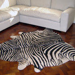 Zebra Hide