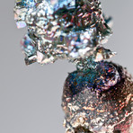 Bismuth Crystal Skull // Rattus rattus 09