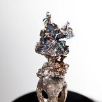 Bismuth Crystal Skull // Rattus rattus 10
