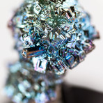 Bismuth Crystal Skull // Rattus rattus 01