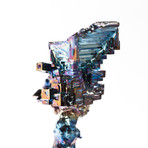 Bismuth Crystal Skull // Rattus rattus 05