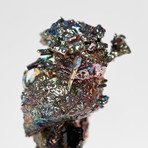 Bismuth Crystal Skull // Rattus rattus 07