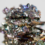 Bismuth Crystal Skull // Rattus rattus 07