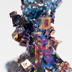 Bismuth Crystal Skull // Rattus rattus 08