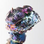Bismuth Crystal Skull // Rattus rattus 11