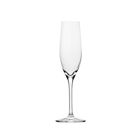 VinoVeritas Champagne Glass // Set of 6
