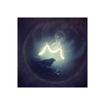 pa 2012-11 (18''L x 18''H)