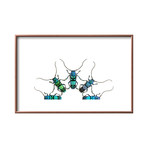 Sulawesi Longhorn Beetles