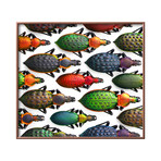 Asian Ground Beetles