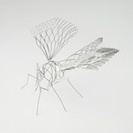 Expanded Mosquito (Stainless Steel)