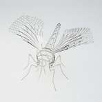 Expanded Mosquito (Stainless Steel)
