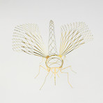 Expanded Mosquito (Stainless Steel)