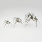 Expanded Bug (Medium, Stainless Steel)
