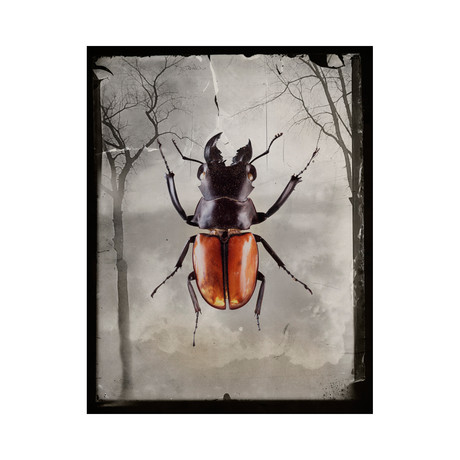 Big Bug E Print