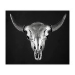 Bison Skull // Silver (Encaustic Print)