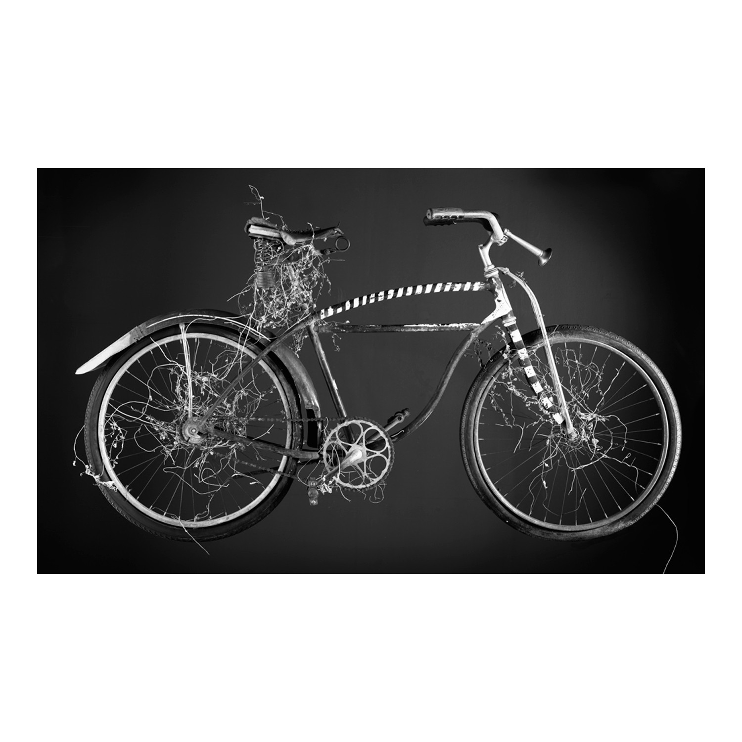 Bike Green Print Phylum Design Touch of Modern