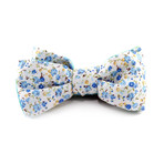 Eduard Bow Tie