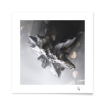 Crystallized Asteroids // 04 (16"L x 16"H Print)