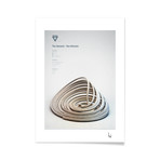 The Genesio-Tesi Attractor (16"L x 20"H Print)