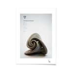 The Halvorsen Attractor (16"L x 20"H Print)