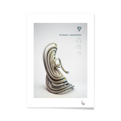 The Newton-Leipnik Attractor (16"L x 20"H Print)