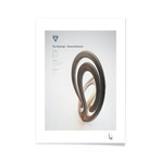 The Rayleight-Benard Attractor (16"L x 20"H Print)