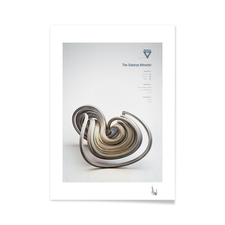 The Sakarya Attractor (16"L x 20"H Print)