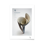 The Yu-Wang Attractor (16"L x 20"H Print)