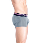 JF Lift Boxer // Gray (Large (26"-38"))