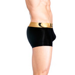 JAM Gold Trunk // Black (Large (26"-38"))