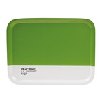 Pantone Universe™Tray // Large (Fuchia)