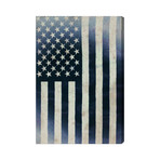 Inked America (16"L x 24"W)
