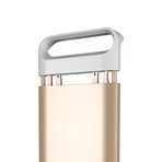 Fluxx Battery Case for iPhone 5/5s (Gold)