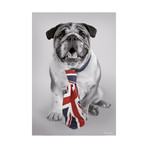 British Dog