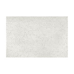 White Loft Brick Wall