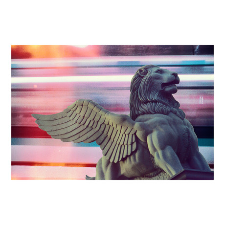 Lion Fly Blur (16”x24”)