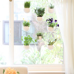 Window Pods Indoor Garden // Set of 3