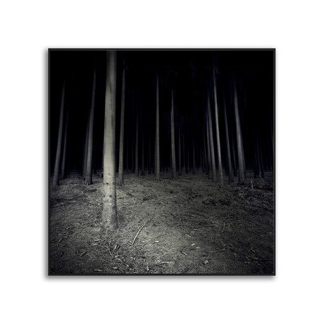 Sebastian-Alexander Stamatis // Insidious Woods (Canvas // 14"L x 20"W x 1"H)