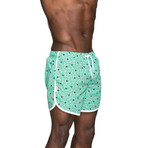 Lanai Swim Short // Mint (XS)