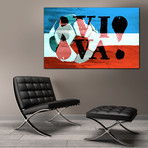 Viva Soccer (23" x 16")