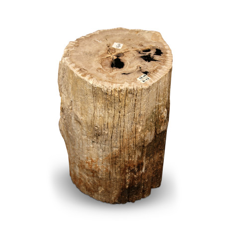 Natural Petrified Wood Stool (004)