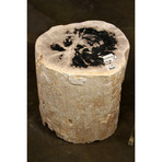 Natural Petrified Wood Stool (004)