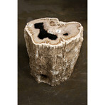 Natural Petrified Wood Stool (001)