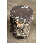 Natural Petrified Wood Stool (001)