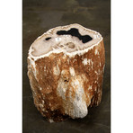 Natural Petrified Wood Stool (001)